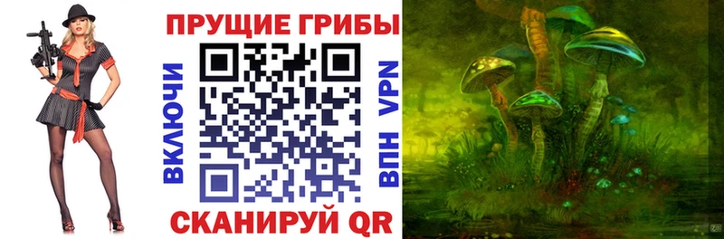 Купить  Ноябрьск  Галлюциногенные грибы мицелий 