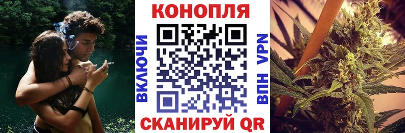 Купить где  Ноябрьск  Канабис планчик 